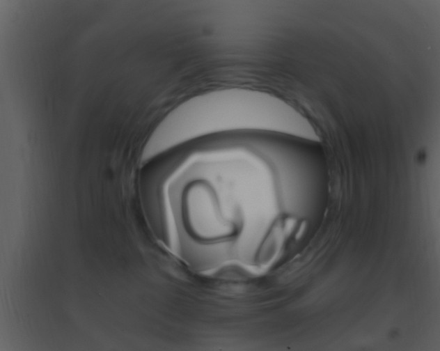 X0000095530332200712140940