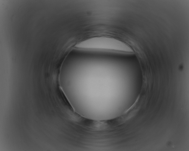 X0000095530333200712140940