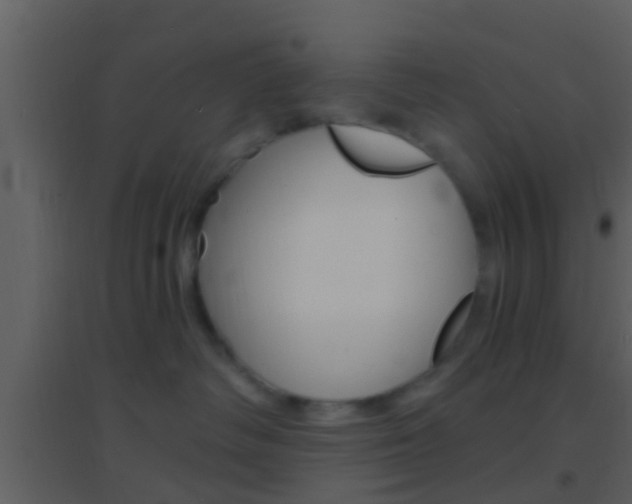 X0000095530334200712140940
