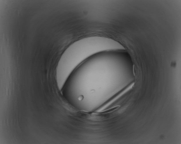 X0000095530336200712140940