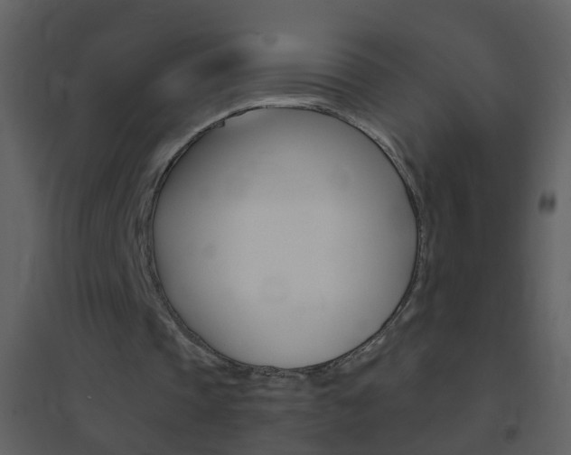 X0000095530337200712140939