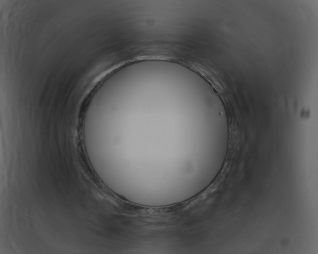 X0000095530338200712140939