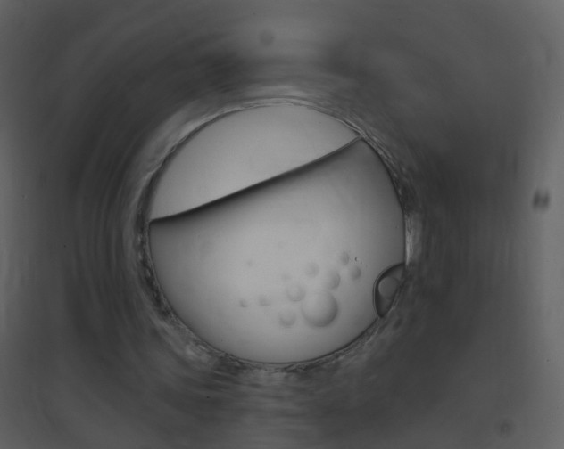 X0000095530339200712140939