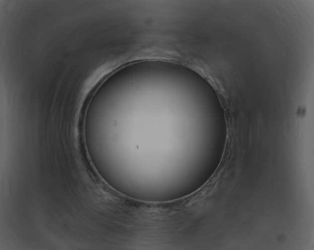 X0000095530340200712140939