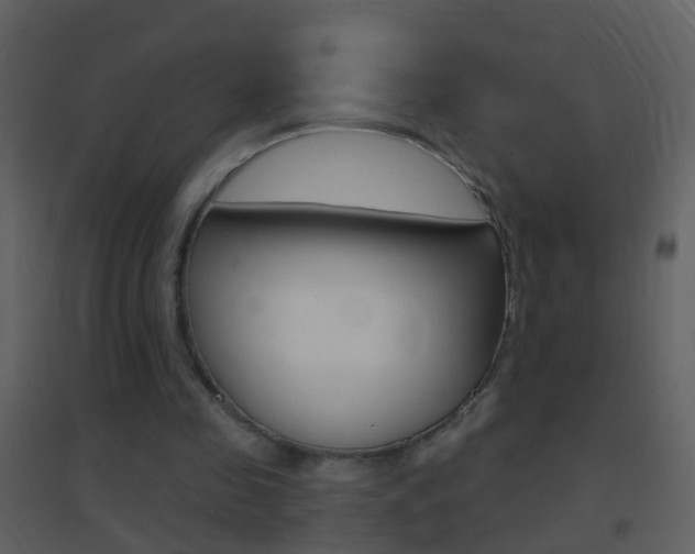 X0000095530341200712140939
