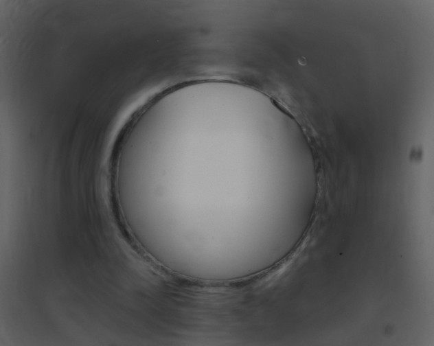 X0000095530342200712140939