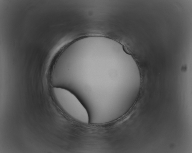 X0000095530343200712140939
