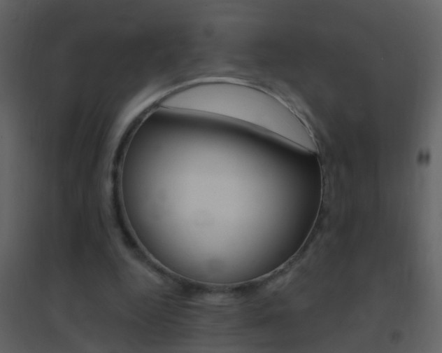 X0000095530344200712140939