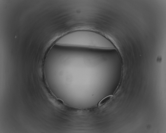 X0000095530345200712140939