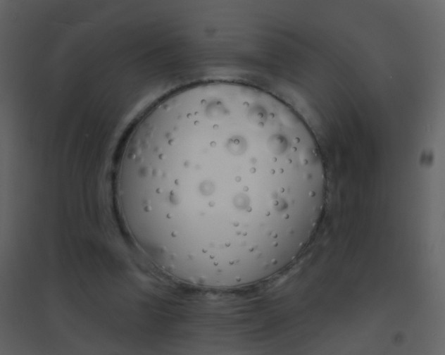 X0000095530346200712140939