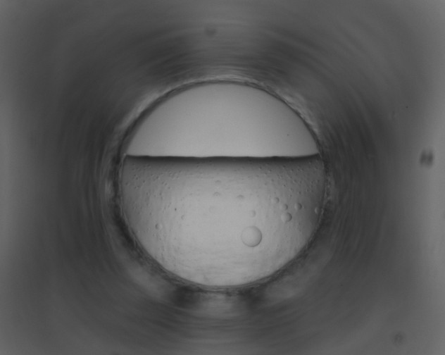 X0000095530347200712140939