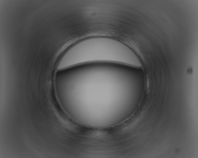X0000095530348200712140939