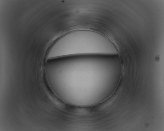 X0000095530349200712140939