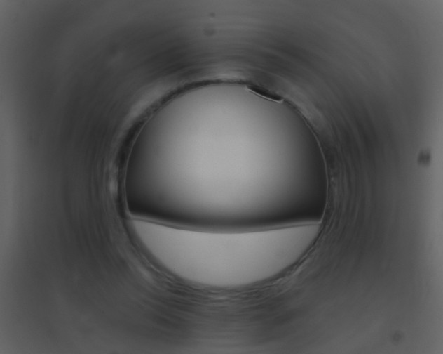 X0000095530350200712140939