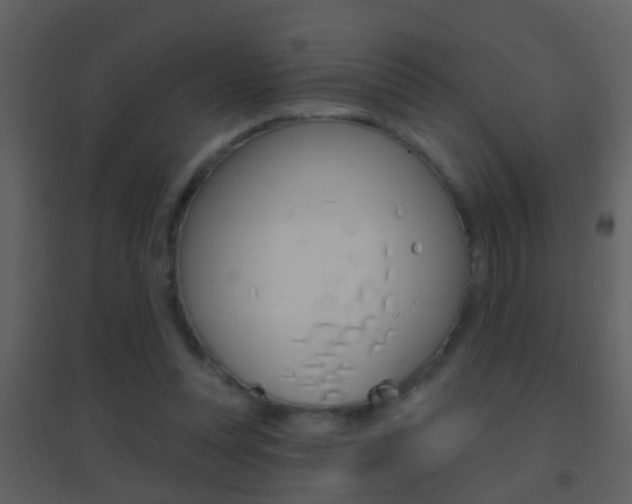X0000095530351200712140939