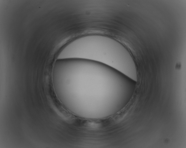 X0000095530352200712140939