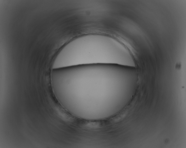 X0000095530353200712140940