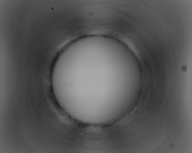 X0000095530354200712140940