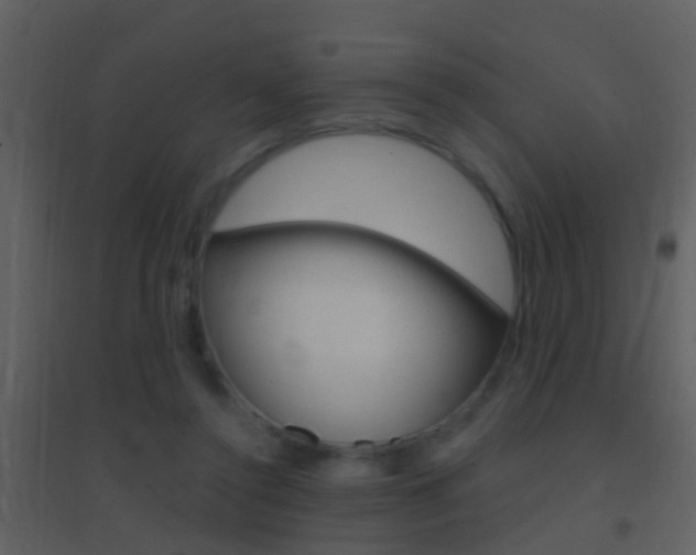 X0000095530356200712140940