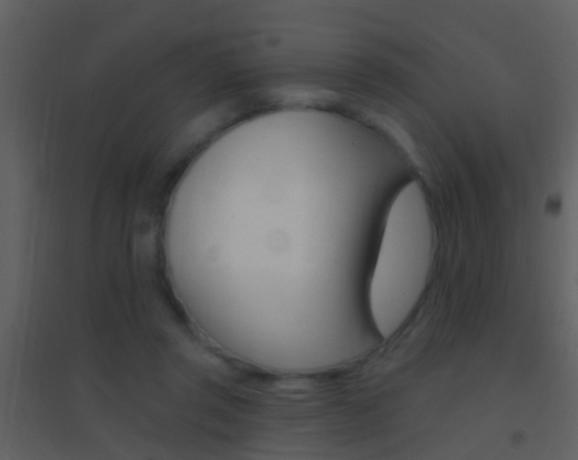 X0000095530357200712140940