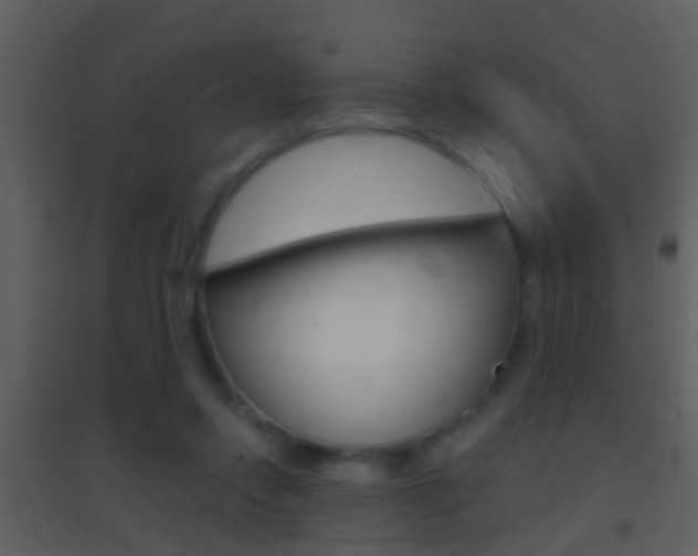 X0000095530358200712140940