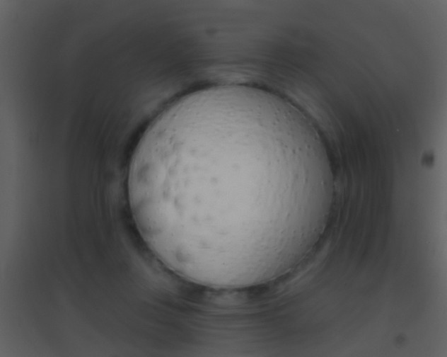 X0000095530359200712140940