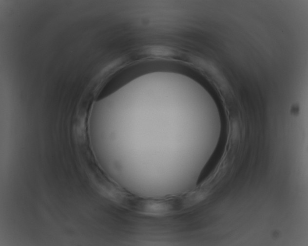 X0000095530360200712140940