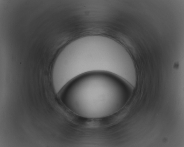X0000095530362200712140940