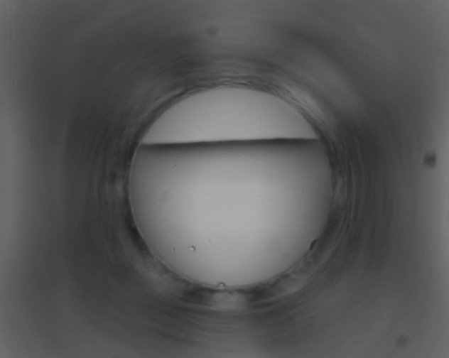 X0000095530363200712140940