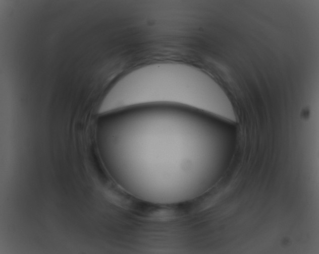 X0000095530364200712140940