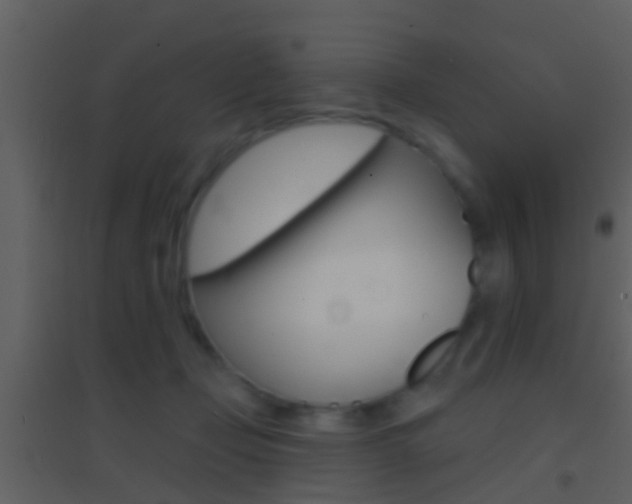 X0000095530365200712140940