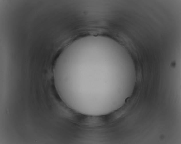 X0000095530367200712140940