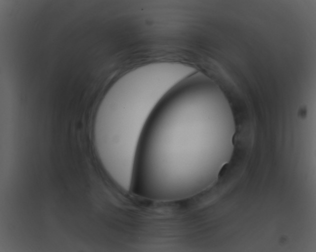 X0000095530368200712140940