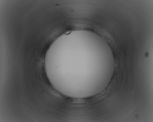 X0000095530369200712140940