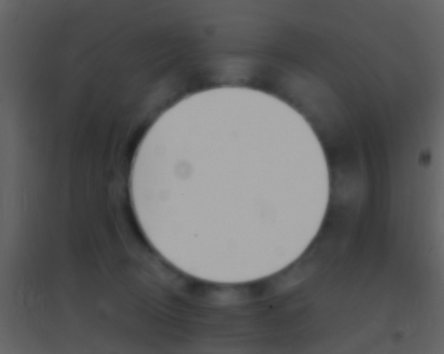 X0000095530370200712140940