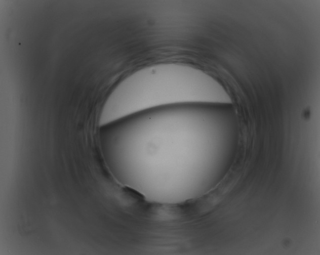 X0000095530372200712140940
