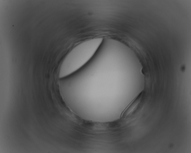 X0000095530373200712140940