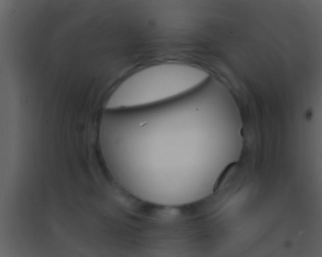 X0000095530374200712140940
