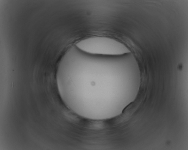 X0000095530377200712140940