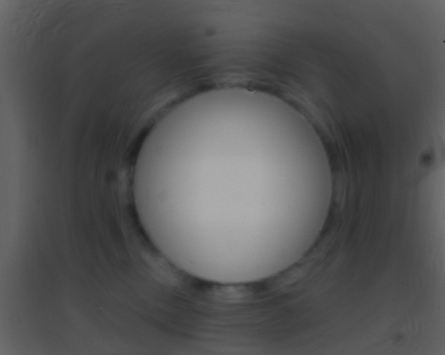 X0000095530378200712140940