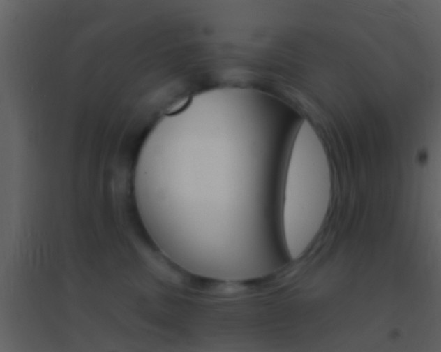X0000095530379200712140940