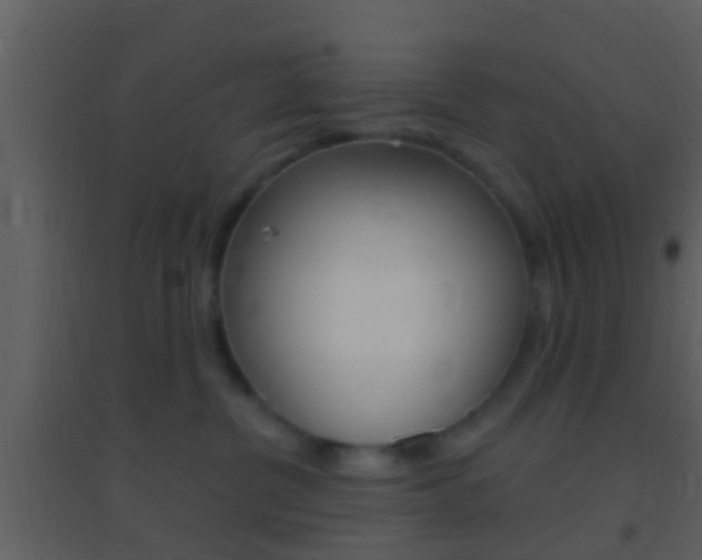 X0000095530380200712140940