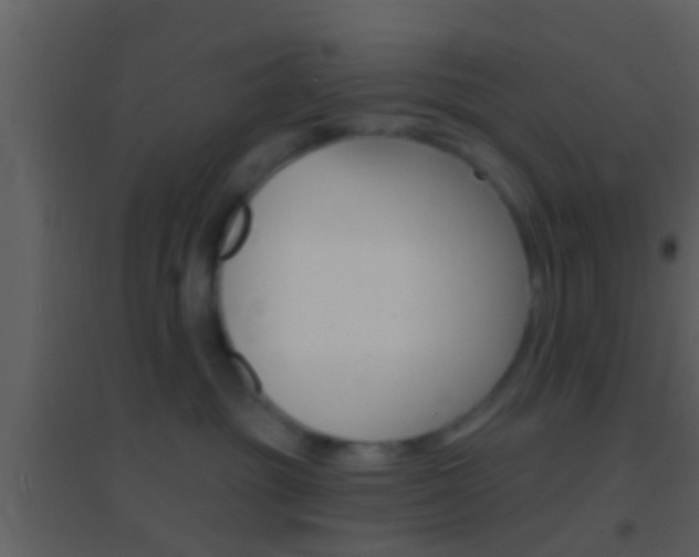 X0000095530381200712140940