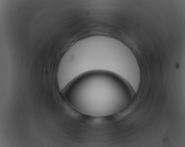 X0000095530382200712140940