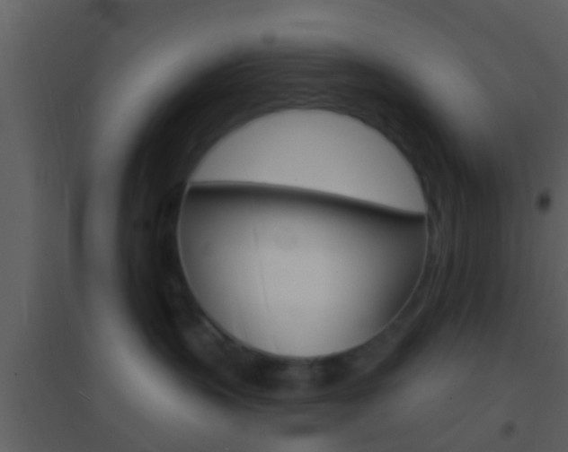 X0000095530383200712140940