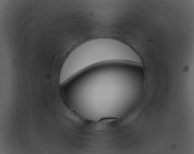 X0000095530384200712140940