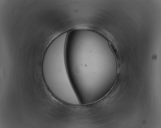 X0000095530385200712140939