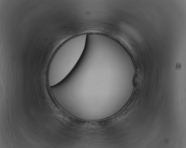 X0000095530386200712140939