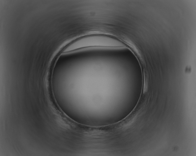 X0000095530387200712140939