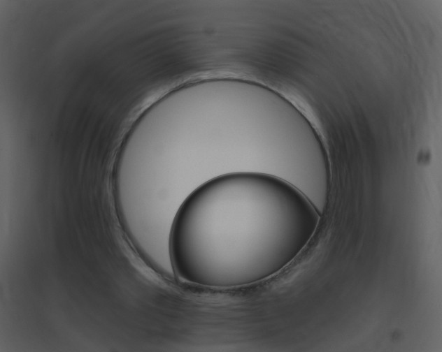X0000095530389200712140939